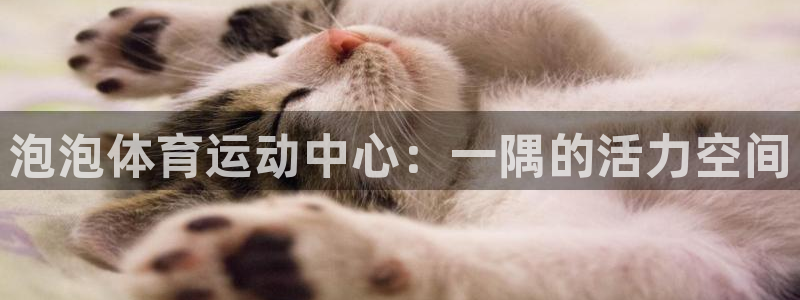 3377体育官网下载平台注册流程视频:泡泡体育运动中心:一隅